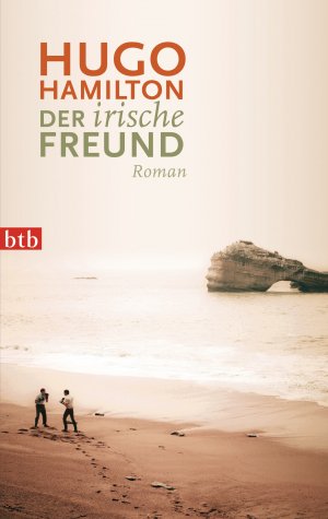 ISBN 9783442739820: Der irische Freund: Roman