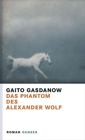 gebrauchtes Buch – Gaito Gasdanow – Das Phantom des Alexander Wolf