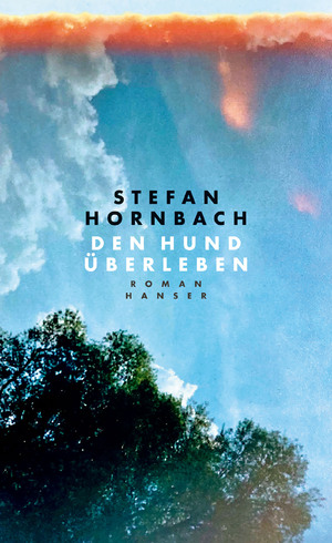 gebrauchtes Buch – Stefan Hornbach – Den Hund überleben