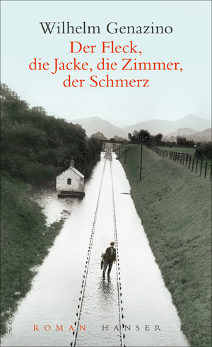 ISBN 9783446276901: Der Fleck, die Jacke, die Zimmer, der Schmerz