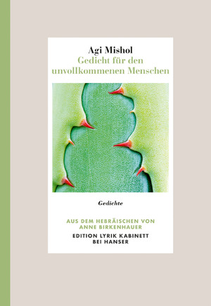 ISBN 9783446281271: Gedicht für den unvollkommenen Menschen