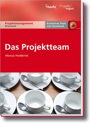 gebrauchtes Buch – Marcus Heidbrink – Das Projektteam.