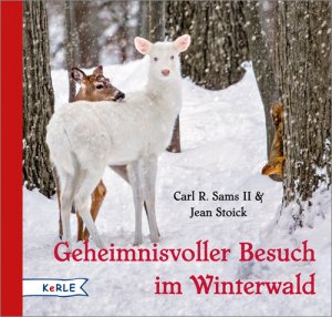 ISBN 9783451713781: Geheimnisvoller Besuch im Winterwald