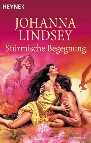 gebrauchtes Buch – Johanna Lindsey – Stürmische Begegnung Roman