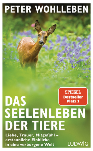 ISBN 9783453280823: Das Seelenleben der Tiere - Liebe, Trauer, Mitgefühl - erstaunliche Einblicke in eine verborgene Welt