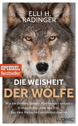 ISBN 9783453280939: Die Weisheit der Wölfe - Wie sie denken, planen, füreinander sorgen. Erstaunliches über das Tier, das dem Menschen am ähnlichsten ist