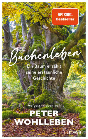 ISBN 9783453281516: Buchenleben - Ein Baum erzählt seine erstaunliche Geschichte