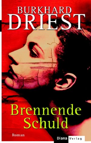 ISBN 9783453290297: Brennende Schuld . Roman