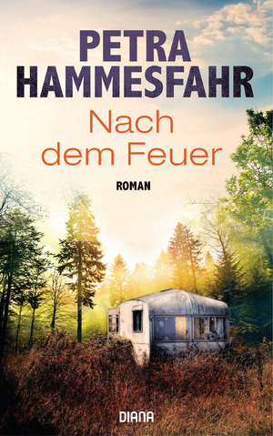 gebrauchtes Buch – Nach dem Feuer: Roman