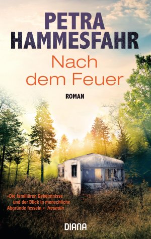 gebrauchtes Buch – Petra Hammesfahr – Nach dem Feuer: Roman