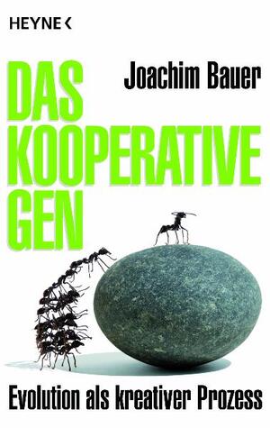 gebrauchtes Buch – Joachim Bauer – Das kooperative Gen - Evolution als kreativer Prozess - bk361