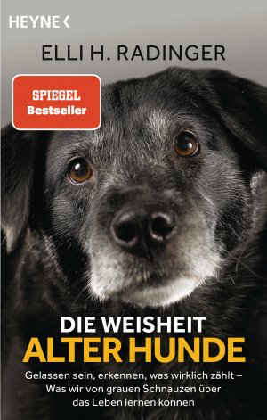 ISBN 9783453605404: Die Weisheit alter Hunde - Gelassen sein, erkennen, was wirklich zählt – Was wir von grauen Schnauzen über das Leben lernen können