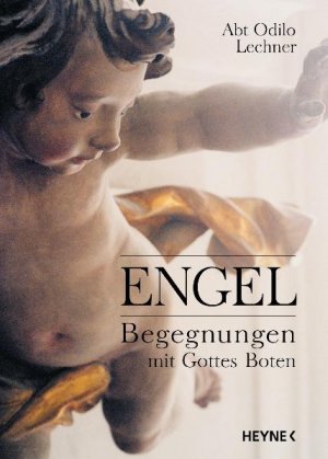 ISBN 9783453879447: Engel - Begegnungen mit Gottes Boten