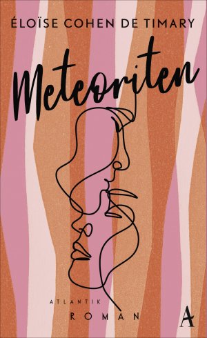 ISBN 9783455010848: Meteoriten