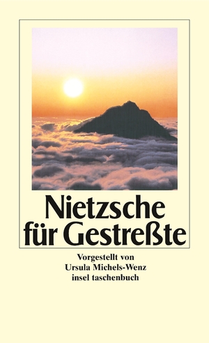 ISBN 9783458336280: Nietzsche für Gestreßte