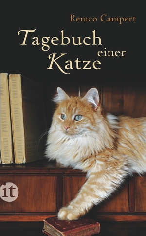 gebrauchtes Buch – Tagebuch einer Katze (insel taschenbuch)