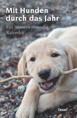 gebrauchtes Buch – Gesine Dammel – Mit Hunden durch das Jahr: Ein immerwährender Kalender (insel taschenbuch)