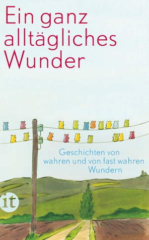 ISBN 9783458360414: Ein ganz alltägliches Wunder - Geschichten von wahren und fast wahren Wundern