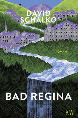 gebrauchtes Buch – David Schalko – Bad Regina – Roman