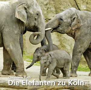 gebrauchtes Buch – Christiane Rath – Elefanten zu Köln