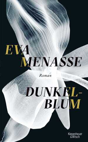 gebrauchtes Buch – Eva Menasse – Dunkelblum : Roman