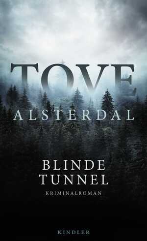 gebrauchtes Buch – Tove Alsterdal – Blinde Tunnel