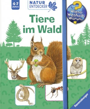 ISBN 9783473326365: Tiere im Wald