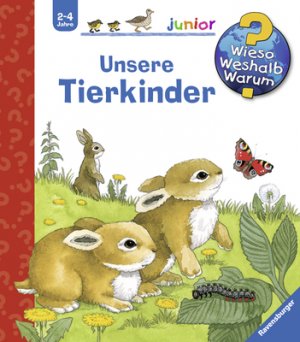 gebrauchtes Buch – Andrea Erne – Unsere Tierkinder