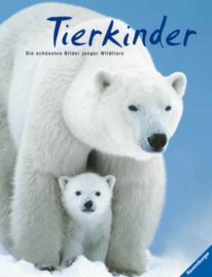 gebrauchtes Buch – Jeanette Stark-Städele – Tierkinder: Die schönsten Bilder junger Wildtiere