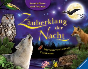 ISBN 9783473553310: Zauberklang der Nacht