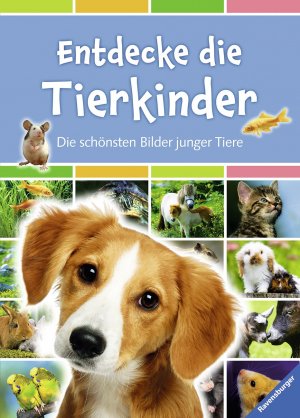 ISBN 9783473553792: Entdecke die Tierkinder: Die schönsten Bilder junger Tiere