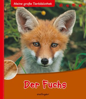 gebrauchtes Buch – Christian Havard – Meine große Tierbibliothek: Der Fuchs