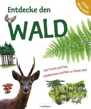 ISBN 9783480225880: Entdecke den Wald