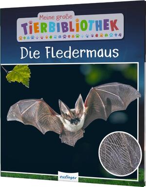 ISBN 9783480236220: Meine große Tierbibliothek: Die Fledermaus - Sachbuch für Vorschule & Grundschule