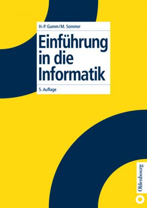 gebrauchtes Buch – Heinz-Peter Gumm – Einführung in die Informatik