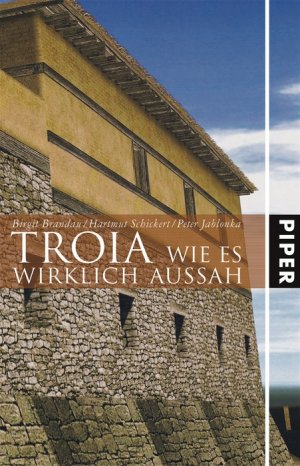 ISBN 9783492046107: TROIA