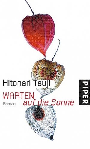 ISBN 9783492048651: Warten auf die Sonne