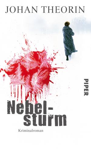 gebrauchtes Buch – Johan Theorin – Nebelsturm