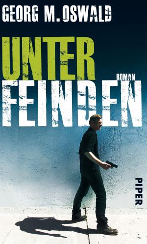 ISBN 9783492053839: Unter Feinden . Roman