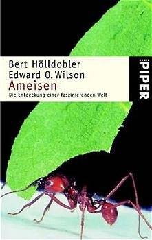 ISBN 9783492234146: Ameisen: Die Entdeckung einer faszinierenden Welt Hölldobler, Bert; Wilson, Edward O. and Böll, Susanne