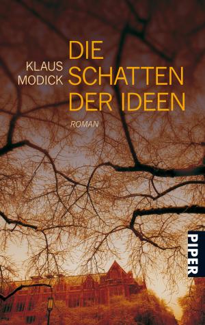 gebrauchtes Buch – Klaus Modick – Die Schatten der Ideen