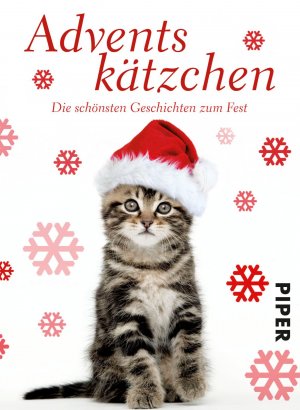 gebrauchtes Buch – Adventskätzchen