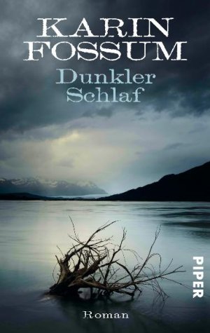 gebrauchtes Buch – Karin Fossum – Dunkler Schlaf