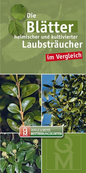 ISBN 9783494015538: Die Blätter heimischer und kultivierter Laubsträucher im Vergleich (Quelle & Meyer Bestimmungskarten)