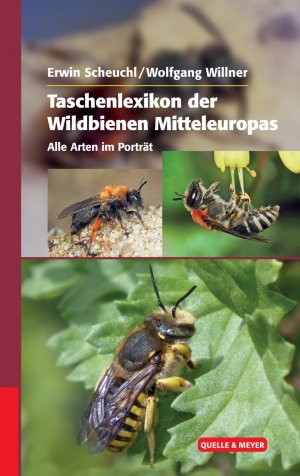 ISBN 9783494016535: Taschenlexikon der Wildbienen Mitteleuropas - Alle Arten im Porträt