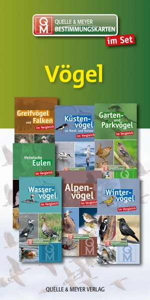 ISBN 9783494017778: Bestimmungskarten-Set „Vögel“