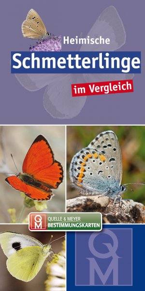 ISBN 9783494018096: Heimische Schmetterlinge | im Vergleich | Quelle & Meyer Verlag | Box | Quelle & Meyer Bestimmungskarten | 12 S. | Deutsch | 2020 | Quelle + Meyer | EAN 9783494018096