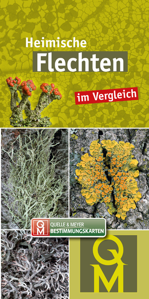 ISBN 9783494019482: 10er-Set: Heimische Flechten im Vergleich | Quelle & Meyer Verlag | Taschenbuch | Quelle & Meyer Bestimmungskarten | 10 S. | Deutsch | 2024 | Quelle + Meyer | EAN 9783494019482