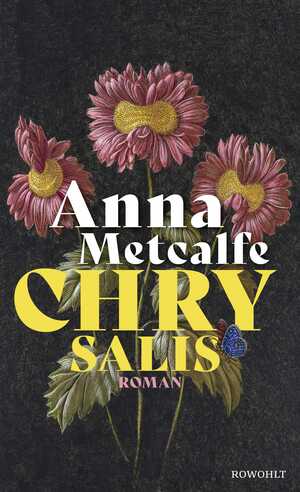 gebrauchtes Buch – Anna Metcalfe – Chrysalis