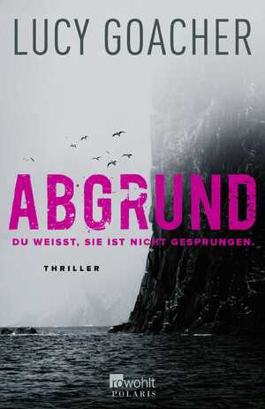 gebrauchtes Buch – Lucy Goacher – Abgrund: Du weißt, sie ist nicht gesprungen.